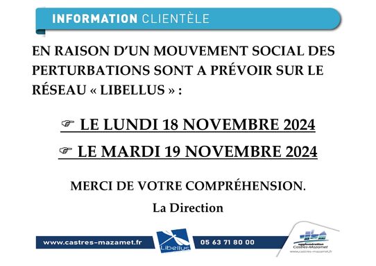 info clientèle grêve NOVEMBRE 2024_page-0001(1).jpg